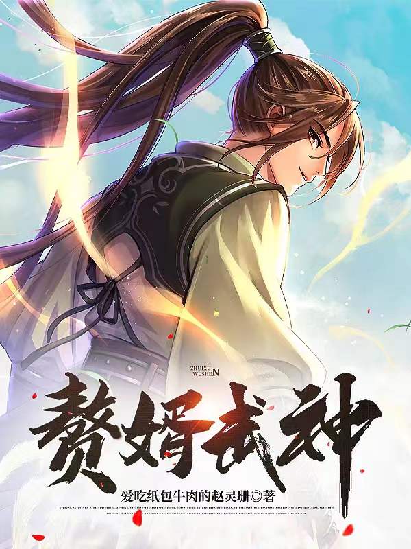 赘婿武力值排行榜